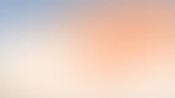 Betitall Casino Supporto